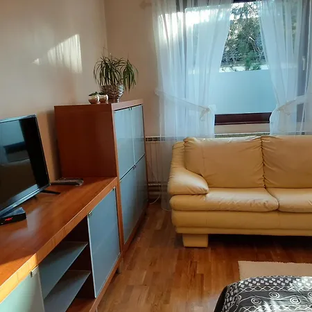 Dr Novi Sad