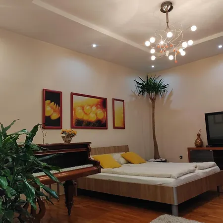 Apartment Dr Novi Sad