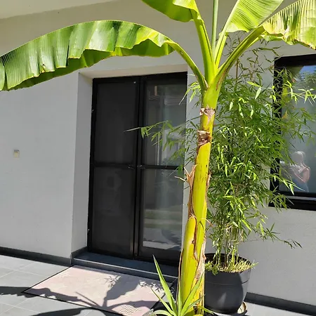 Dr Апартаменты Нови-Сад