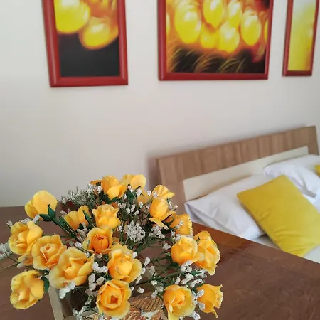 Апартаменты Dr Нови-Сад